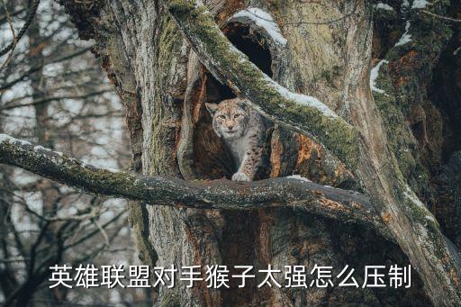英雄联盟对手猴子太强怎么压制