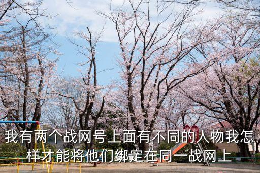 我有两个战网号上面有不同的人物我怎样才能将他们绑定在同一战网上