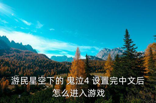 游民星空下的 鬼泣4 设置完中文后 怎么进入游戏