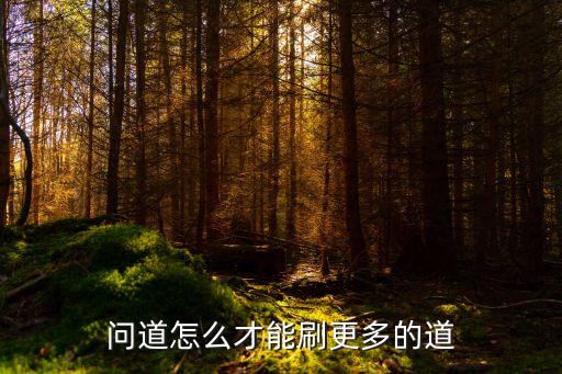问道怎么才能刷更多的道