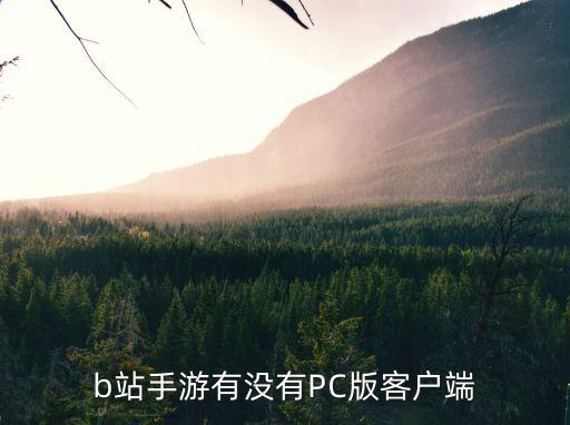 b站手游有没有PC版客户端