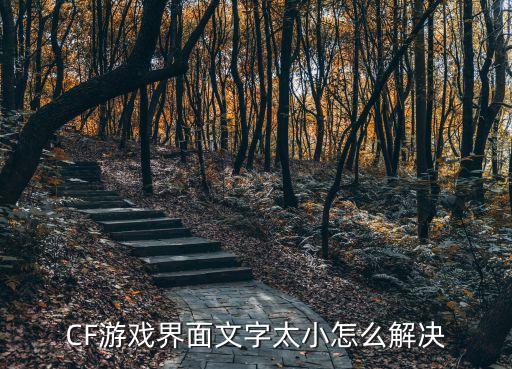 CF游戏界面文字太小怎么解决