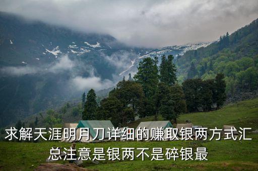 求解天涯明月刀详细的赚取银两方式汇总注意是银两不是碎银最