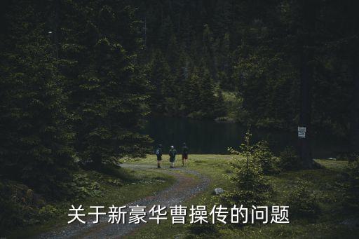 关于新豪华曹操传的问题