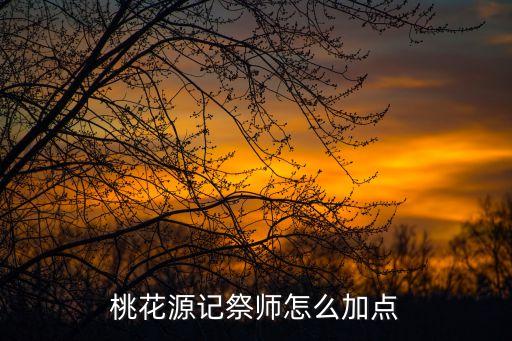 桃花源记祭师怎么加点