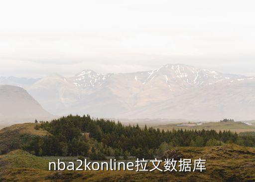 nba2konline拉文数据库