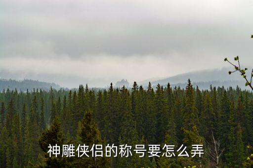 神雕侠侣手游怎么拿剑魔称号，神雕侠侣称号怎么得