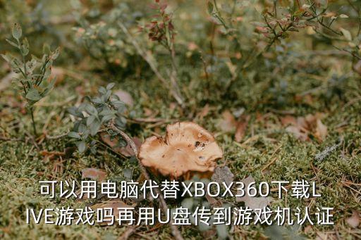 可以用电脑代替XBOX360下载LIVE游戏吗再用U盘传到游戏机认证