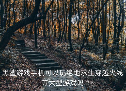 cf手游黑鲨怎么打，黑鲨游戏手机可以玩绝地求生穿越火线等大型游戏吗