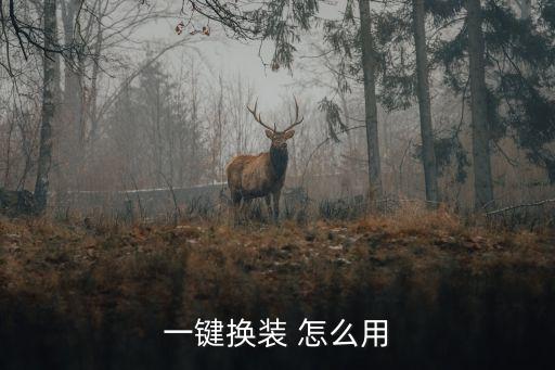 一键换装 怎么用