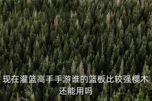 灌篮高手手游光头樱木花道怎么样，现在灌篮高手手游谁的篮板比较强樱木还能用吗