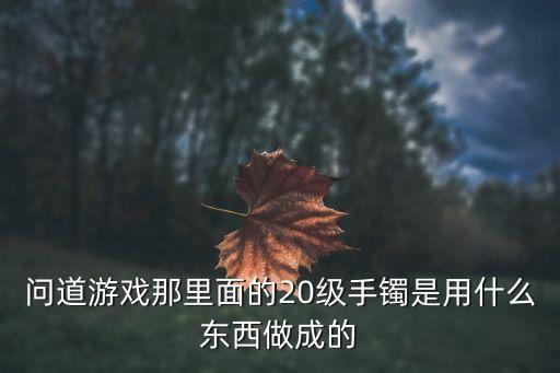 问道游戏那里面的20级手镯是用什么东西做成的