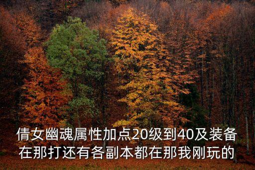 倩女幽魂属性加点20级到40及装备在那打还有各副本都在那我刚玩的
