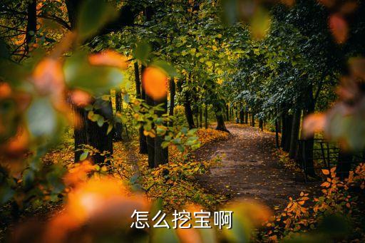 怎么挖宝啊