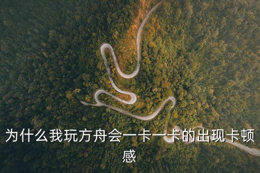 为什么我玩方舟会一卡一卡的出现卡顿感