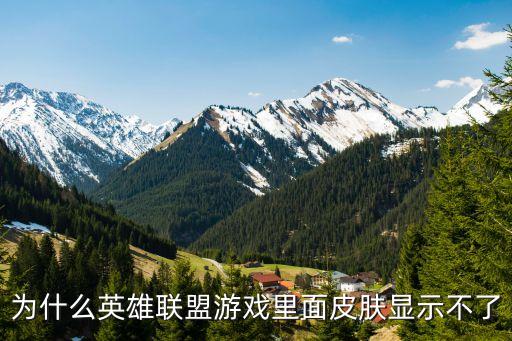为什么英雄联盟游戏里面皮肤显示不了