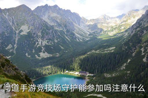 问道手游竞技场守护能参加吗注意什么