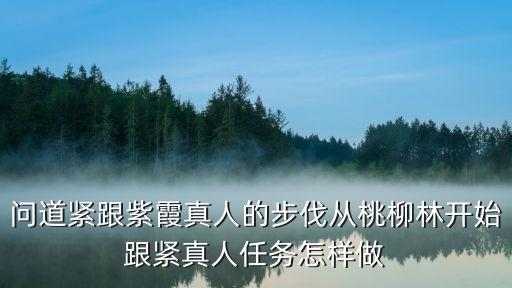 问道紧跟紫霞真人的步伐从桃柳林开始跟紧真人任务怎样做