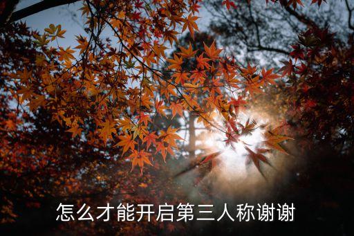 怎么才能开启第三人称谢谢