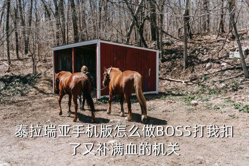 泰拉瑞亚手游怎么制作boss，泰拉瑞亚手机版怎么做BOSS打我扣了又补满血的机关