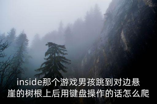 inside那个游戏男孩跳到对边悬崖的树根上后用键盘操作的话怎么爬