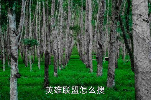 英雄联盟怎么搜