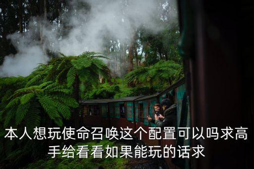 本人想玩使命召唤这个配置可以吗求高手给看看如果能玩的话求