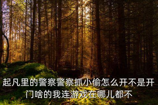 起凡里的警察警察抓小偷怎么开不是开门啥的我连游戏在哪儿都不