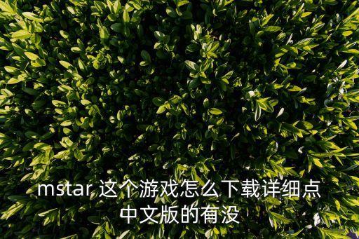 mstar 这个游戏怎么下载详细点中文版的有没