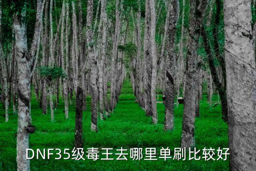 DNF35级毒王去哪里单刷比较好