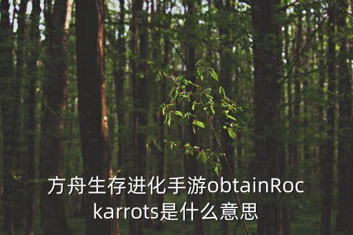 方舟生存进化手游obtainRockarrots是什么意思