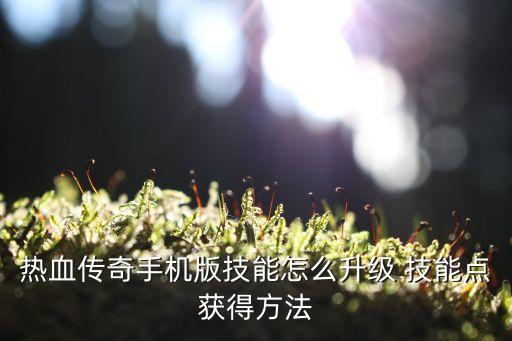 热血传奇手游龙王怎么加点，热血传奇手机版技能点怎么获得 技能点获得方法
