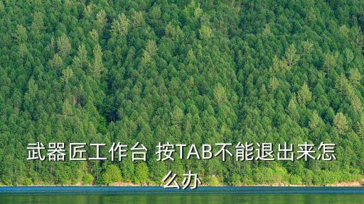 武器匠工作台 按TAB不能退出来怎么办