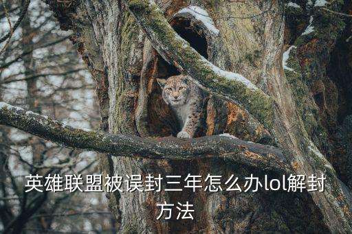 英雄联盟被误封三年怎么办lol解封方法