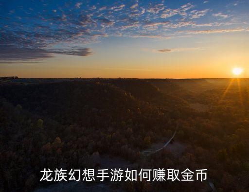龙族幻想手游怎么开宝箱，龙族幻想飞行驾照咋考