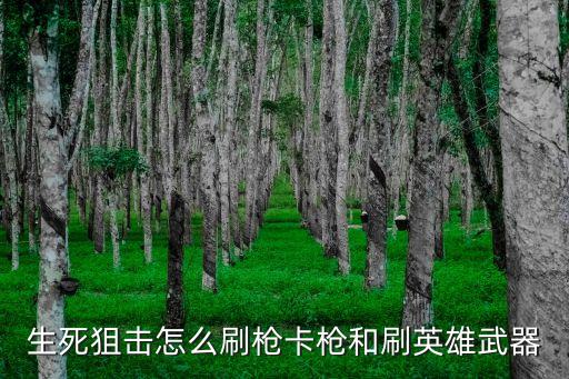 生死狙击怎么刷枪卡枪和刷英雄武器
