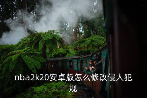 nba2k20安卓版怎么修改侵人犯规