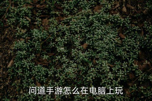 问道手游怎么在电脑上玩