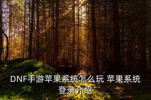 DNF手游苹果系统怎么玩 苹果系统登录介绍