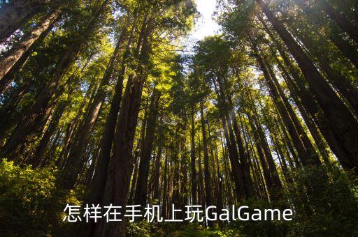 怎样在手机上玩GalGame