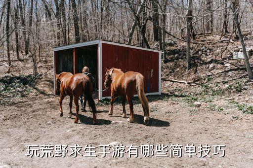 怎么来玩极限生存手游，绝地求生手游手游怎么玩