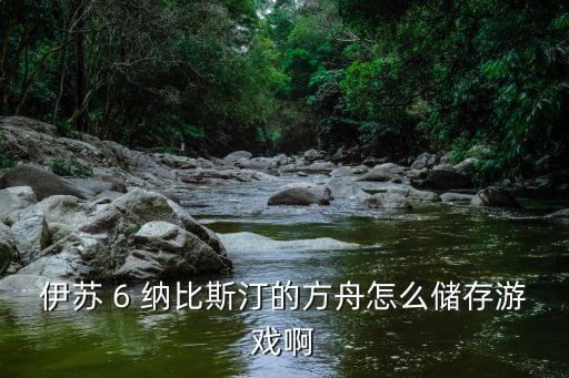 伊苏 6 纳比斯汀的方舟怎么储存游戏啊