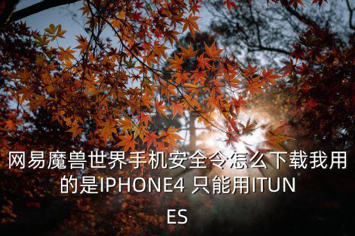 网易魔兽世界手机安全令怎么下载我用的是IPHONE4 只能用ITUNES