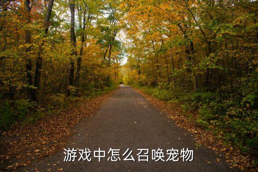 游戏中怎么召唤宠物