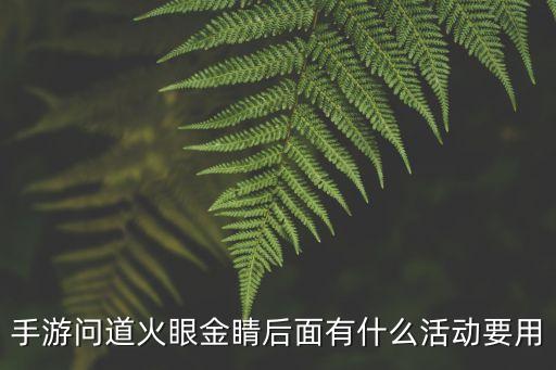 手游问道火眼金睛后面有什么活动要用