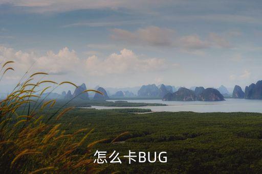 怎么卡BUG