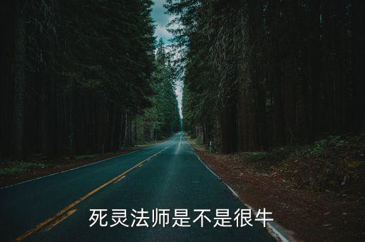 死灵法师手游怎么样，死灵法师是不是很牛