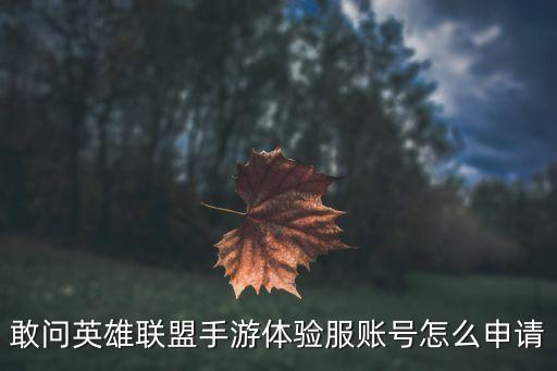 敢问英雄联盟手游体验服账号怎么申请