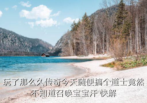 玩了那么久传奇今天随便搞个道士竟然不知道召唤宝宝汗 快解