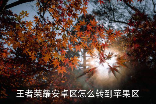 王者荣耀安卓区怎么转到苹果区